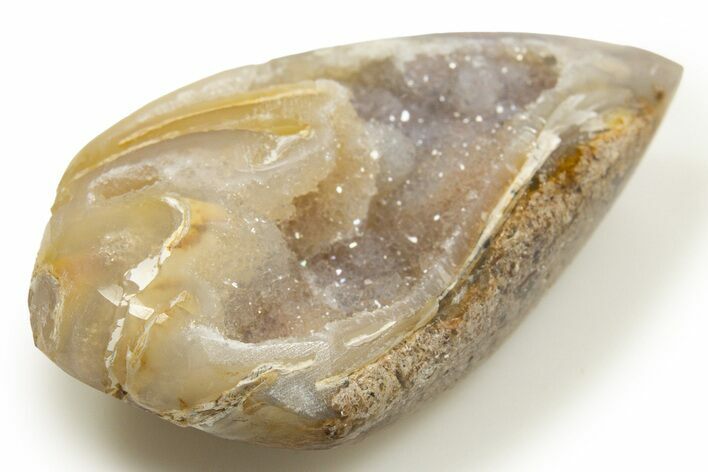 Chalcedony Replaced Gastropod With Sparkly Quartz - India #318698